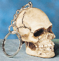 plain skull keychain