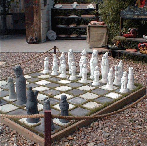 the chess set